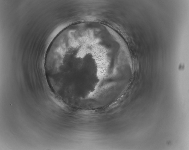 X0000090730147200708171954