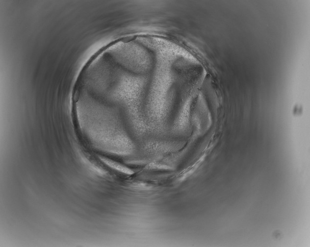 X0000090730148200708171954