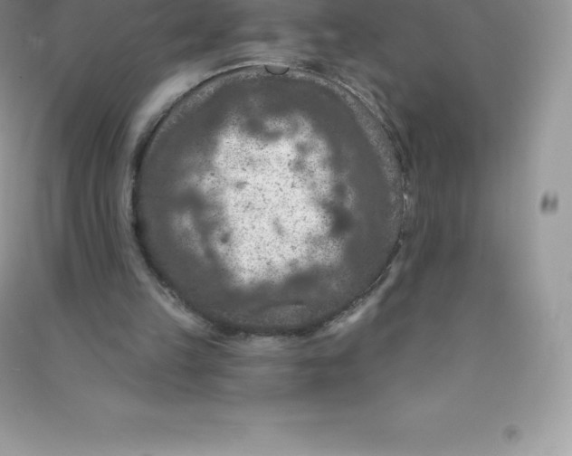 X0000090730149200708171954