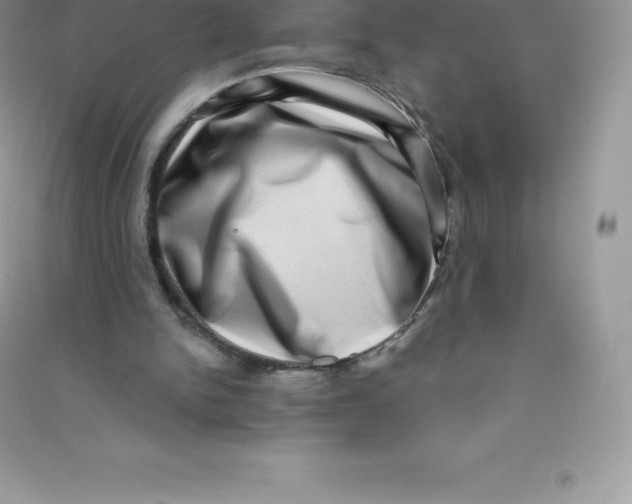 X0000090730150200708171954