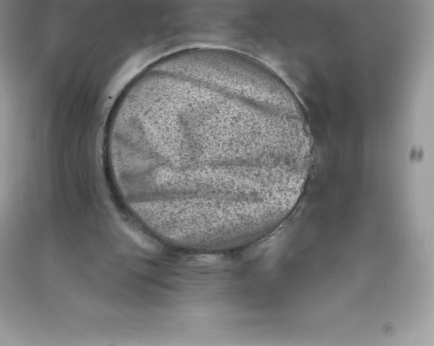 X0000090730151200708171954