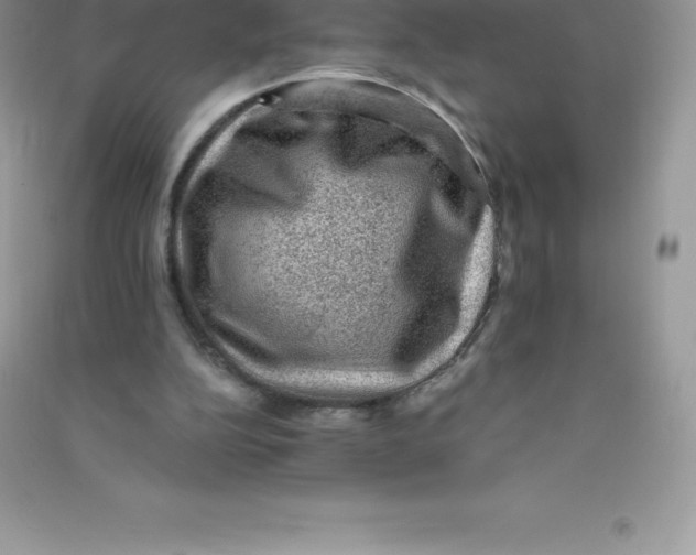 X0000090730152200708171954