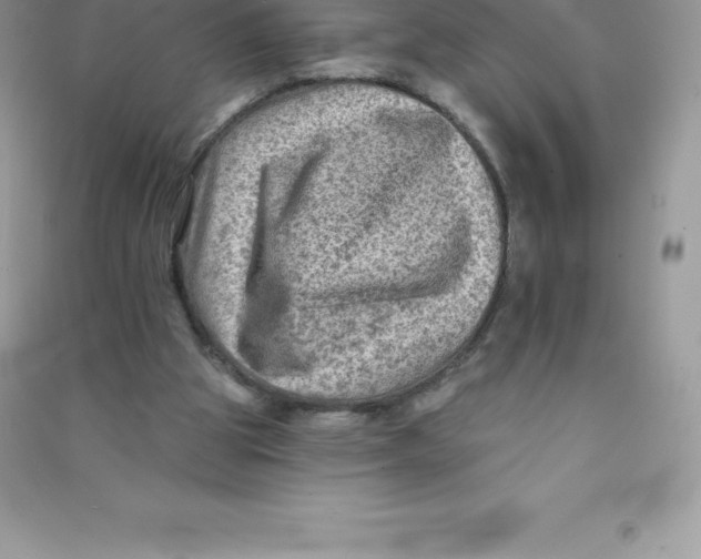 X0000090730153200708171954