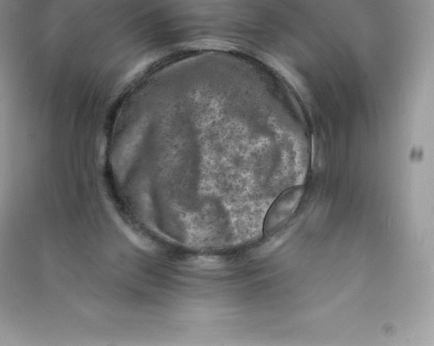 X0000090730157200708171954