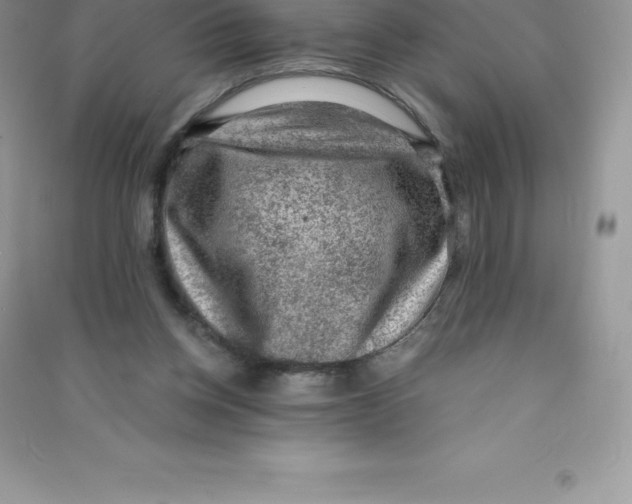 X0000090730158200708171954