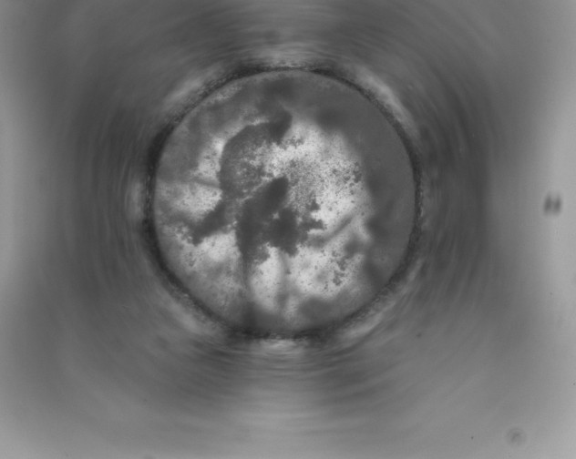 X0000090730161200708171954