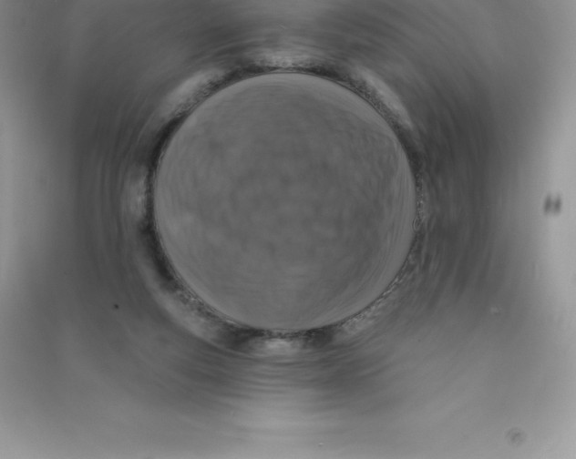 X0000090730163200708171954