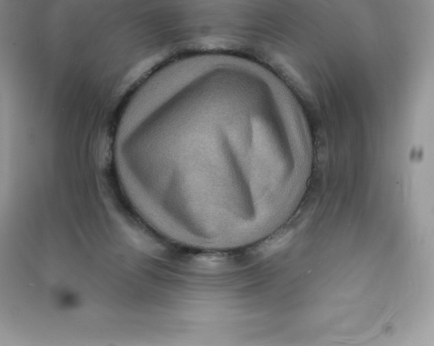 X0000090730164200708171954