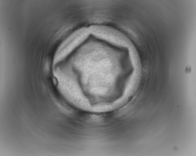 X0000090730166200708171954