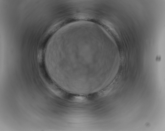 X0000090730167200708171954