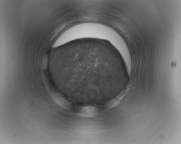 X0000090730168200708171954