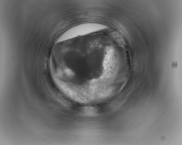 X0000090730169200708171954