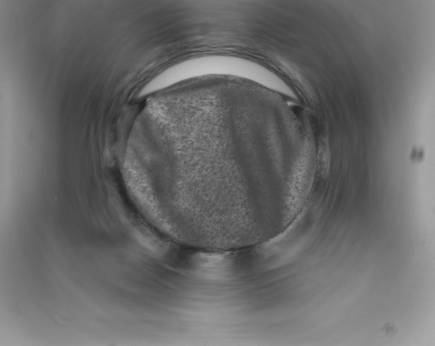 X0000090730170200708171954