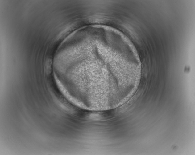 X0000090730171200708171954