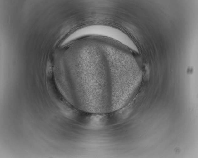 X0000090730172200708171954