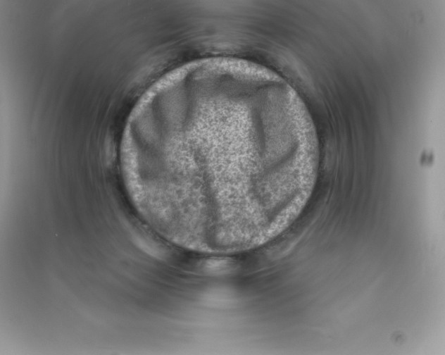 X0000090730173200708171954