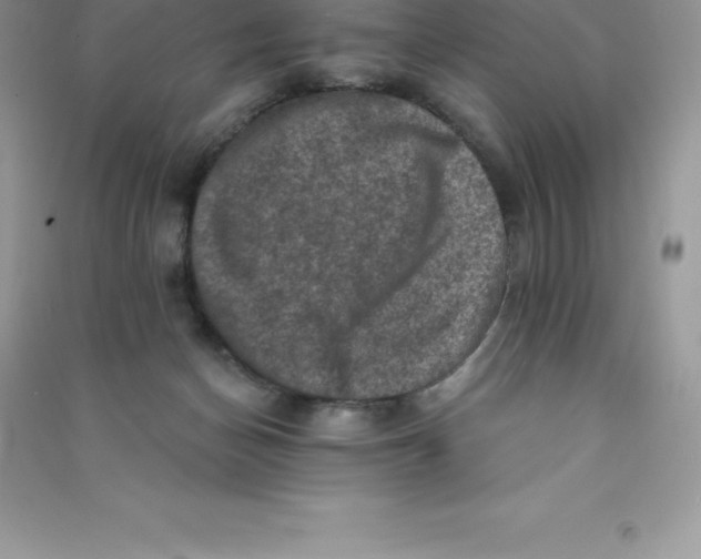 X0000090730174200708171954