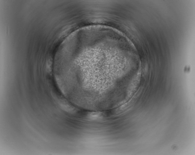 X0000090730175200708171954