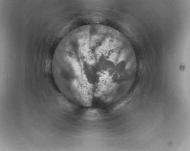 X0000090730177200708171954