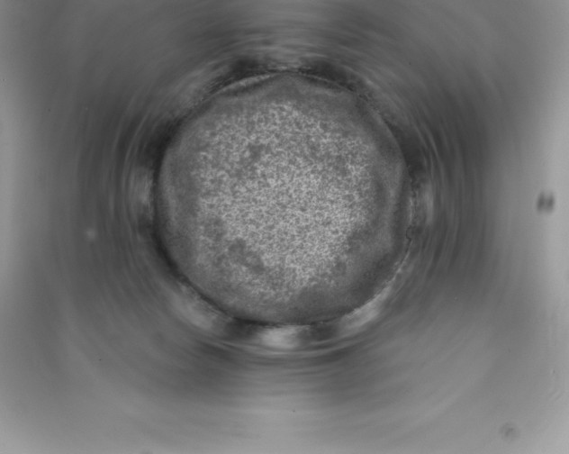 X0000090730178200708171954