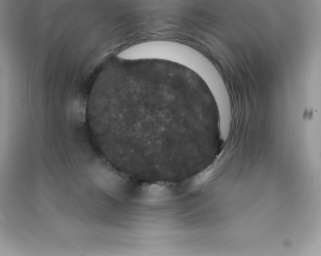 X0000090730180200708171954