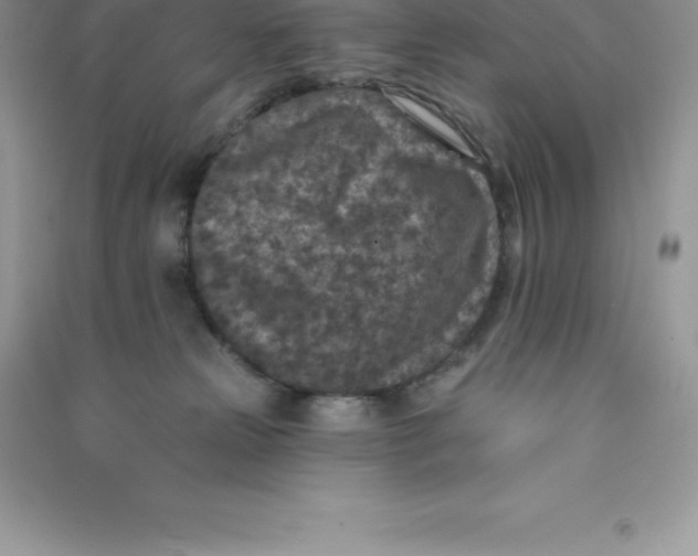 X0000090730181200708171954