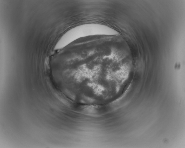 X0000090730182200708171954