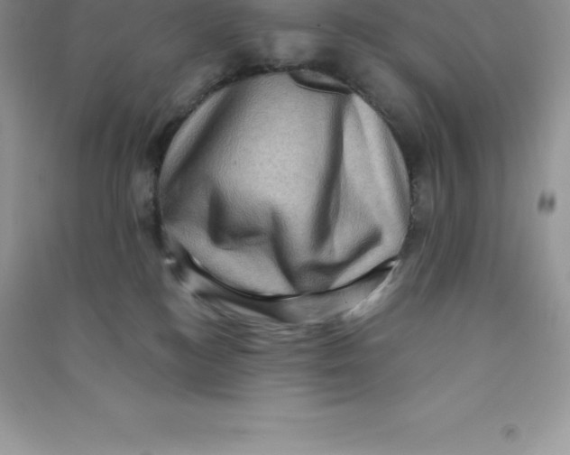 X0000090730184200708171954