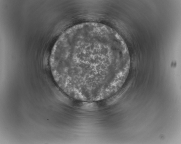 X0000090730185200708171954