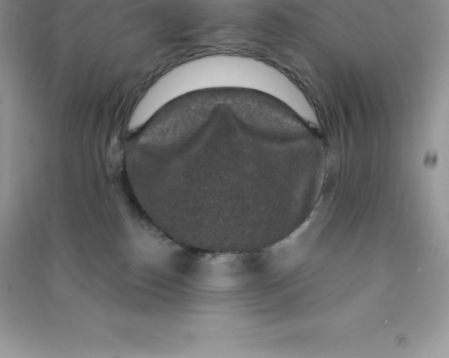 X0000090730186200708171954