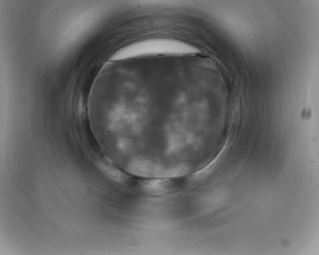 X0000090730191200708171954