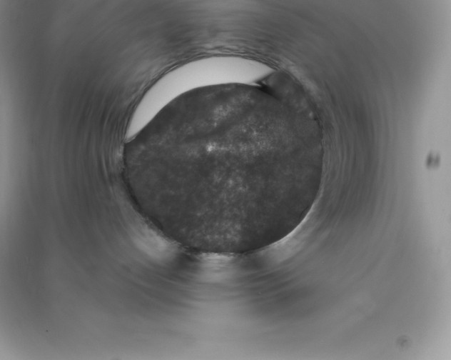 X0000090730192200708171954