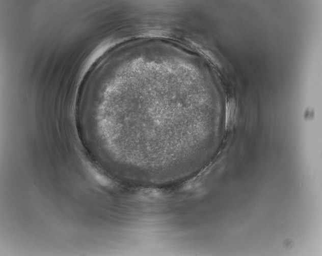 X0000090730195200708171954