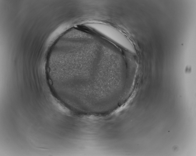 X0000090730197200708171954