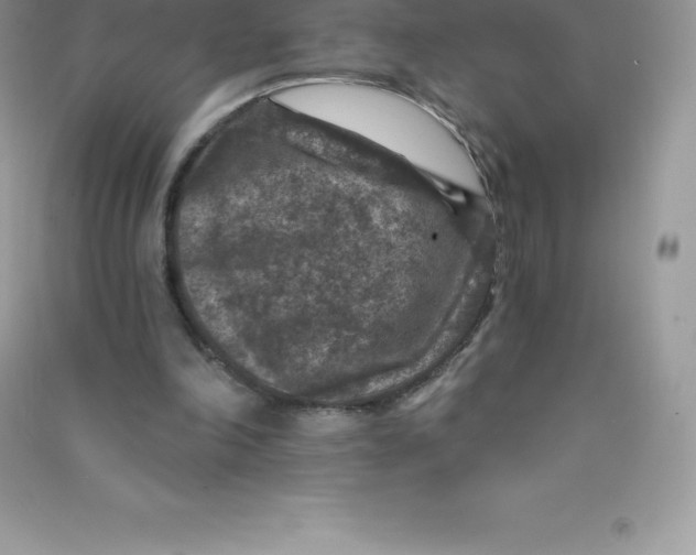 X0000090730198200708171954