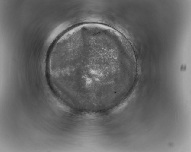 X0000090730199200708171954