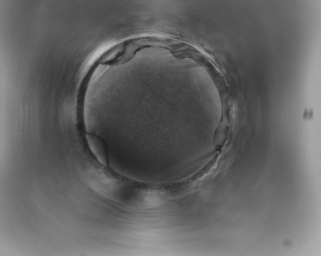 X0000090730200200708171954