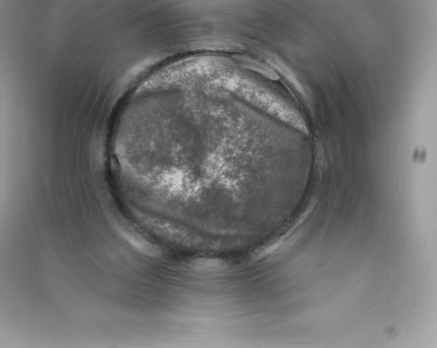 X0000090730203200708171954