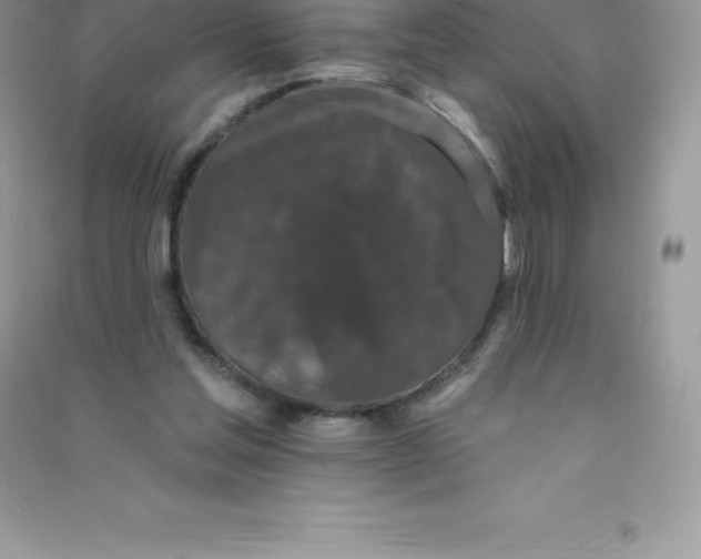 X0000090730205200708171954