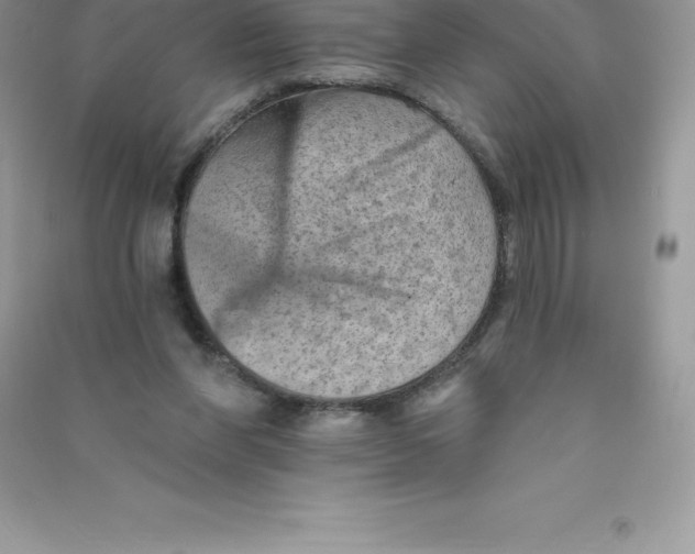 X0000090730206200708171954