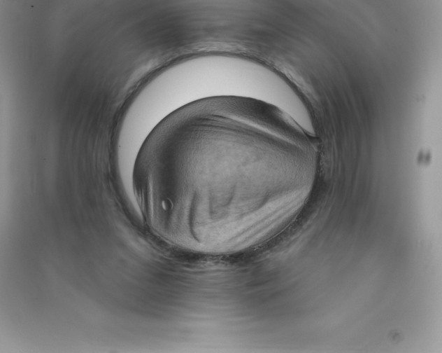 X0000090730207200708171954