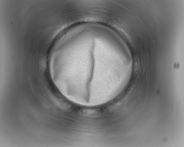 X0000090730208200708171954