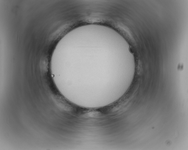 X0000090730210200708171954