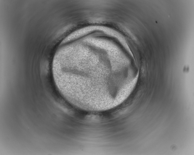 X0000090730211200708171954