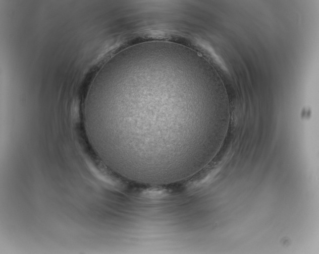 X0000090730213200708171954