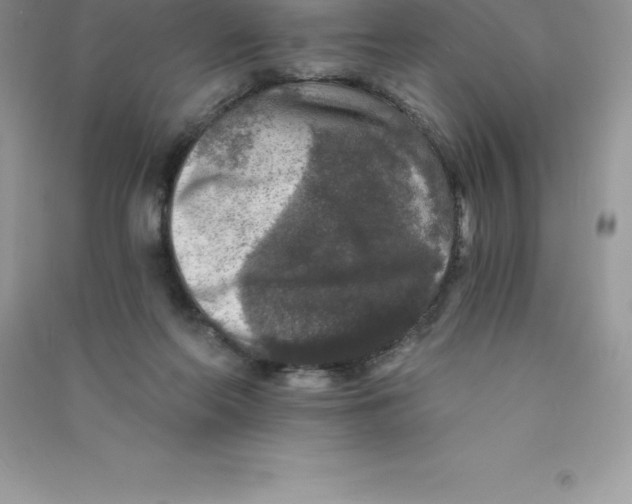 X0000090730214200708171954