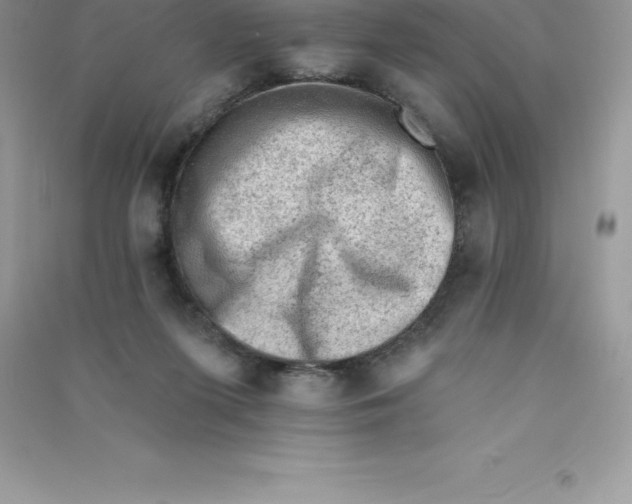 X0000090730215200708171954