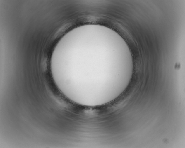 X0000090730216200708171954