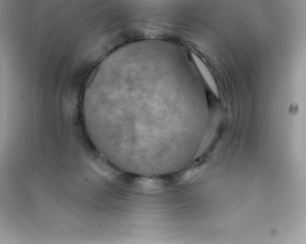 X0000090730221200708171953