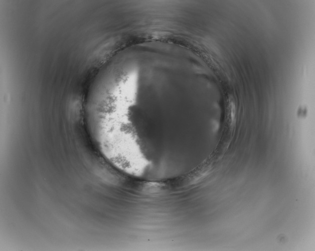 X0000090730222200708171953